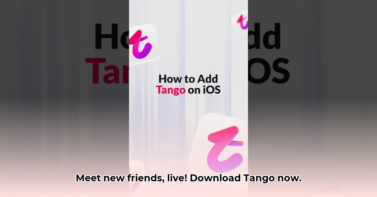 tango-indir